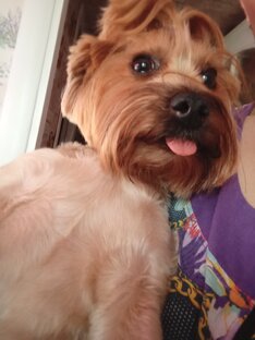 Юмор.приколы.животные