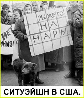 На злобу дня