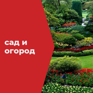 Сад и огород