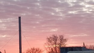 Обычные дни 