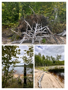 Походы и путешествия