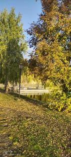 Виртуальный зал 