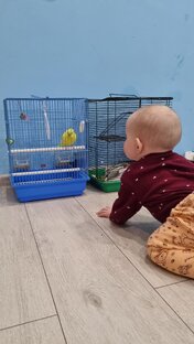 Советы для детей