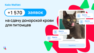 Кейсы Авито