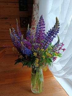 Жизнь питомника и в питомнике