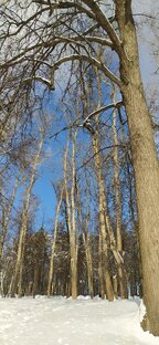 Легкая гитара