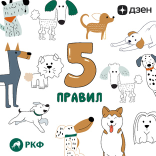 5 ПРАВИЛ