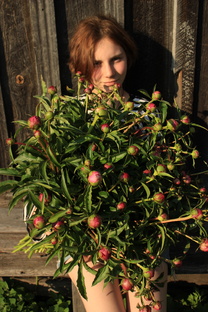 Цветы на срез-опыт.