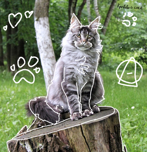 Дз по ⨺⃝КВД•°*°•