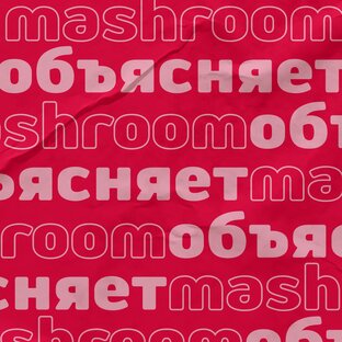 Mash Room объясняет
