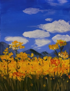 Мои увлечения.