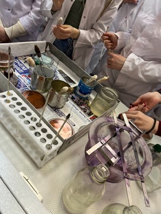 ПРЕДМЕТЫ В МЕДВУЗЕ