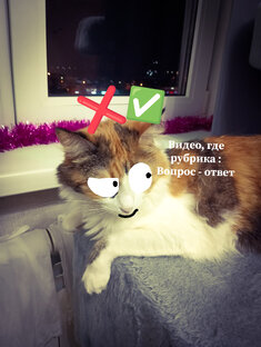 Видео, где рубрика : Вопрос - ответ!