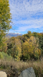 Сочи . "Красная поляна"