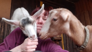 Козоводство