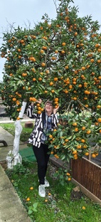 Декабрь в Сухуме