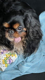 история мальчика