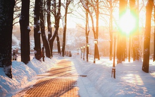 Стихи и проза