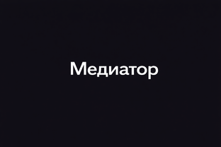 Профессия Медиатор
