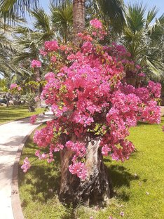 Релаксирующие видео 