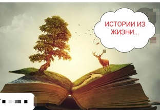 ИСТОРИИ ИЗ ЖИЗНИ...📚