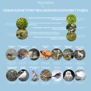 Не сказки для детей и взрослых