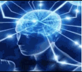 Время с пользой 🐯 🐳 