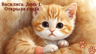 Каждый понедельник в 8:00. Продолжение!