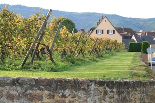 Регион Alsace / Эльзас. Франция