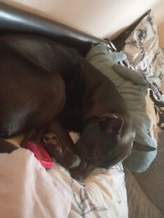 Кто сладкий