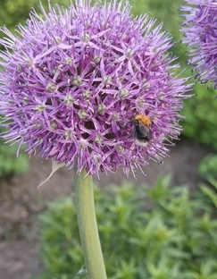 #Яркие краски #