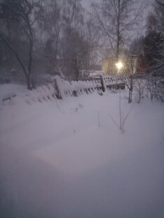 Умные слова