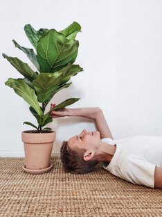 Уход за растениями