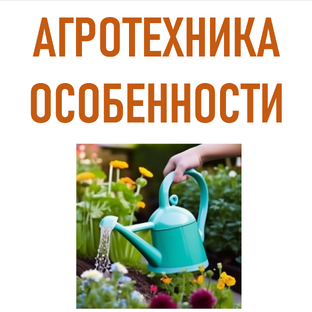 Особенности агротехники в экологическом садоводстве