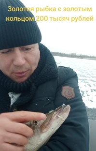 Золотая рыбка с золотым кольцом с вознаграждением 200 тысяч рублей