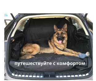 Путешествие с собакой