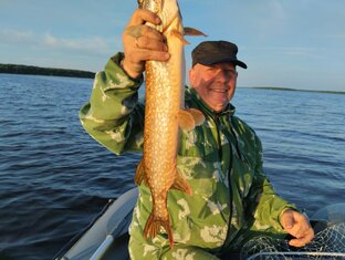 Рыбалка в троллинг