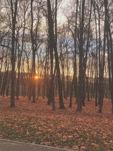 Осенний уют