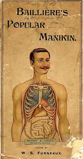 Экспертные знания простым языком