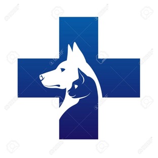 Вет.Info