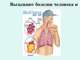 Здоровье