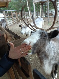 Карелия-Край Чудес! 