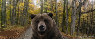 Новости из мира