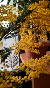 Март обзоры из магазинов.