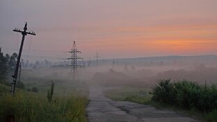Интересные социальные эксперименты и исследования