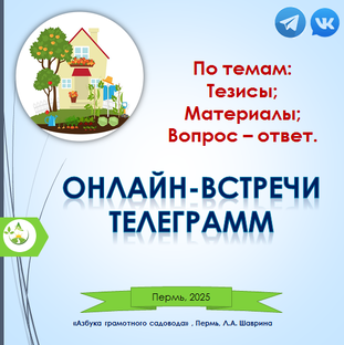 Онлайн в телеграм