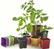 Товары для питомников растений, садовых центров и ландшафных работ