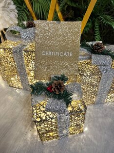 Подарочные сертификаты