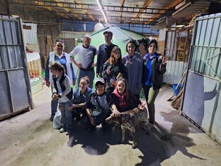 Гости приюта