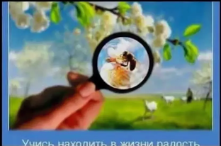 Маленькие радости и тихие победы